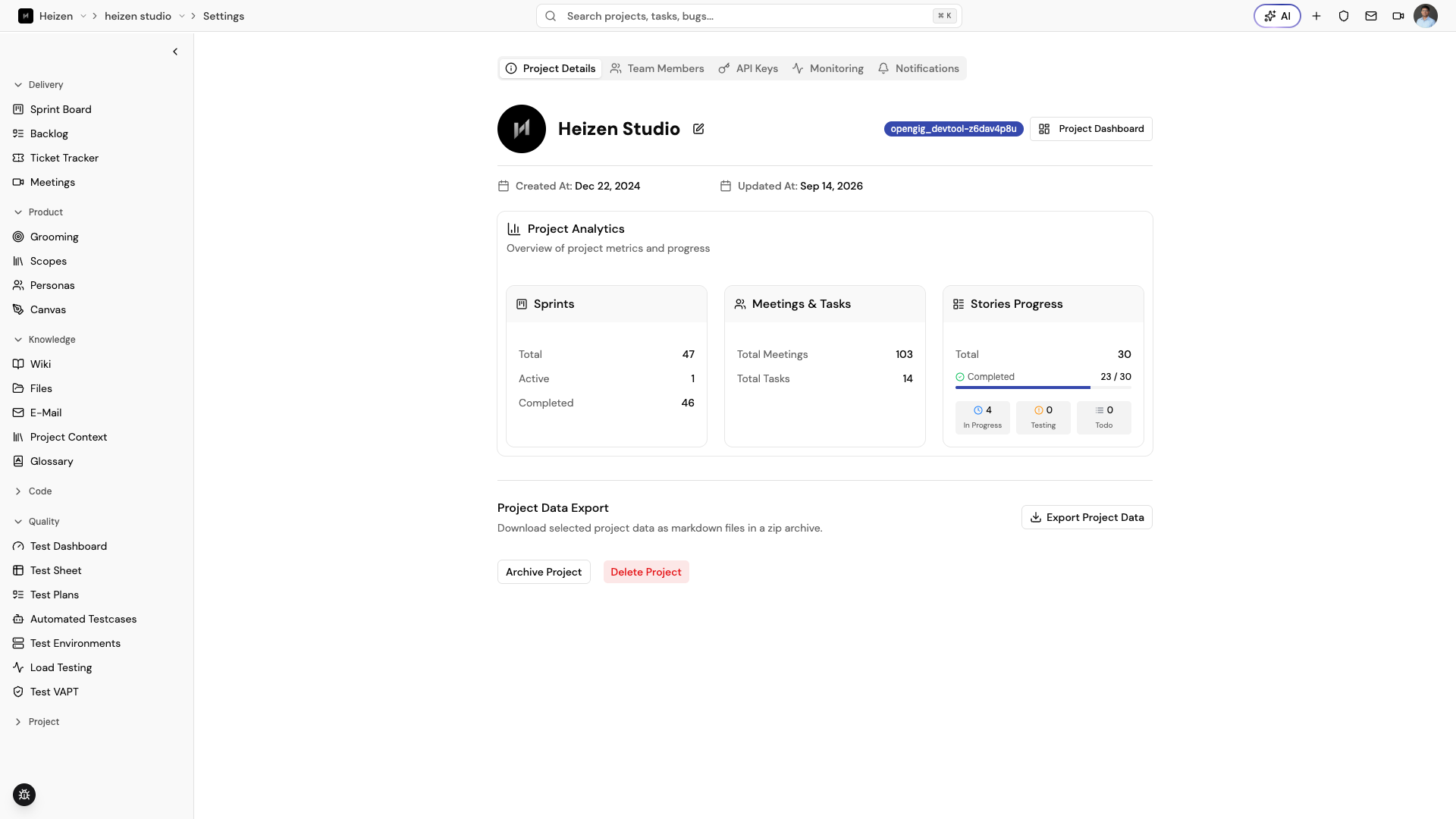 Heizen Studio Project Details tab showing the project profile, editable title, tags, analytics, and project actions.